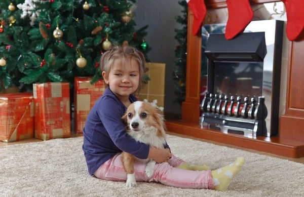 Маленькая девочка с собакой на ковре — стоковое фото