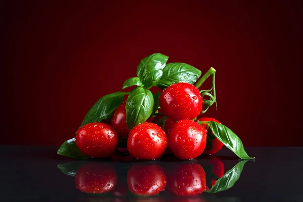 Tomates con albahaca verde — Foto de Stock