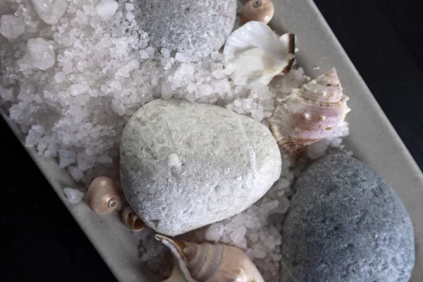 Sale marino con pietre e conchiglie — Foto Stock