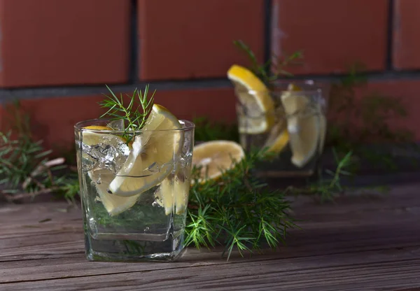 Gin mit Zitrone, Eis und Wacholderzweig — Stockfoto