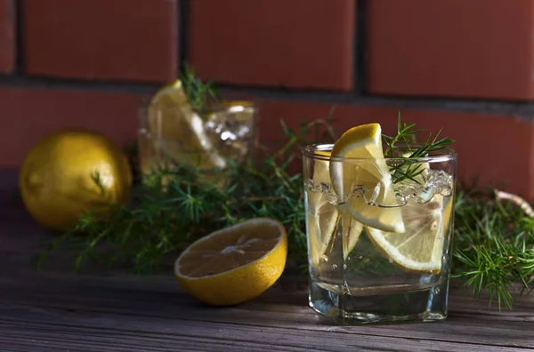 Gin z cytryny, lód i jałowca oddział — Zdjęcie stockowe