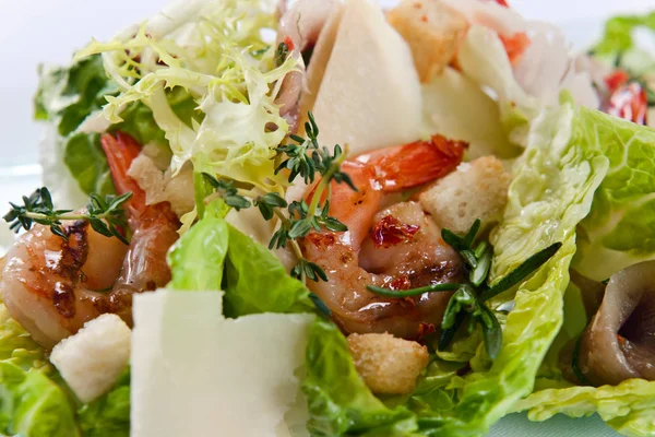 Caesar sallad med ost, räkor och timjan — Stockfoto