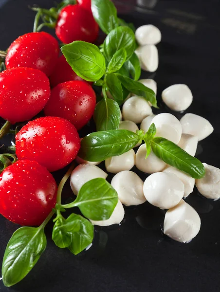 Mozzarella med basilika och tomater — Stockfoto