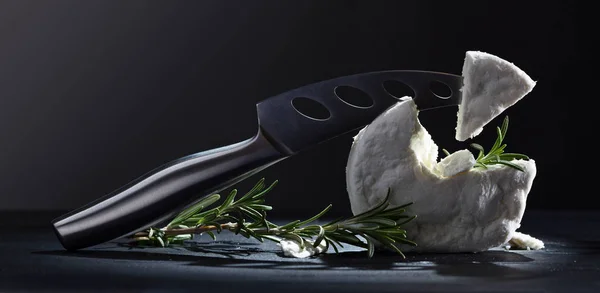 Fromage de chèvre frais fait maison au romarin — Photo