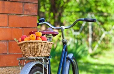 Sulu olgun kayısı sepeti