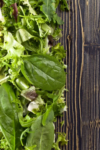 Frisse groene salade met spinazie, rucola en sla — Stockfoto