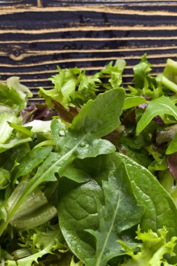 Taze yeşil salata ile ıspanak, roka ve marul 