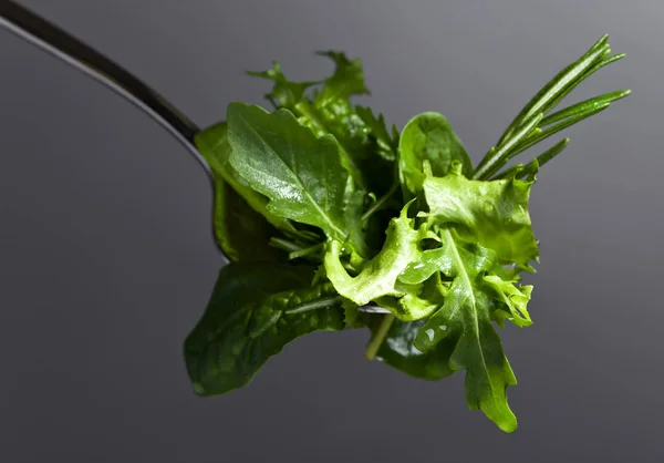 新鮮なグリーン サラダほうれん草、ルッコラ、レタス — ストック写真