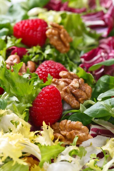 Ensalada vegana verde con frambuesa y nueces — Foto de Stock