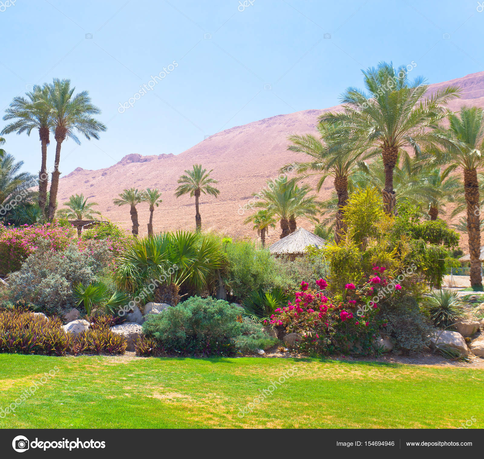 Oasis In The South Of Israel Stock Photo C Igorr1 154694946