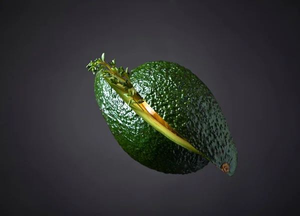Avocado with thyme — Stock Photo, Image