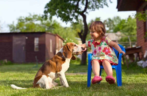 Petite fille jouant avec un chien sur la pelouse  . — Photo