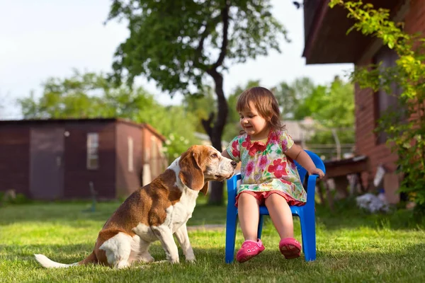 Liten flicka som leker med en hund på gräsmattan . — Stockfoto