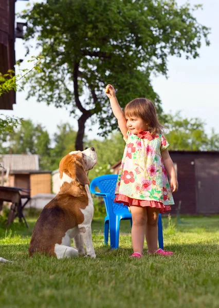 Little girl playing with a dog on the lawn . — Stock Photo, Image