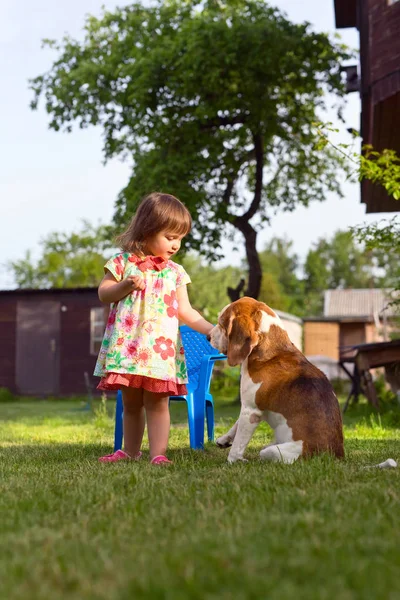 Küçük kız'ın bahçesinde bir köpekle oynayan . — Stok fotoğraf