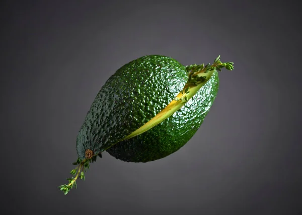 Avocado met tijm — Stockfoto