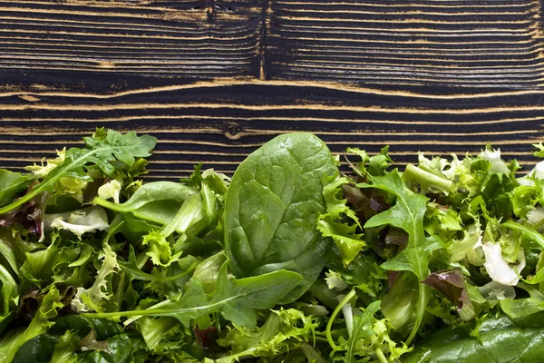 Frisse groene salade met spinazie, rucola en sla — Stockfoto