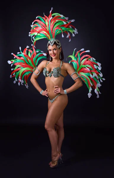 Beautiful girl in carnival costume. — Stock Photo, Image