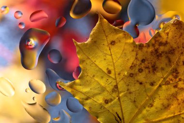  Yaprak ve su ile sonbahar arka plan damla