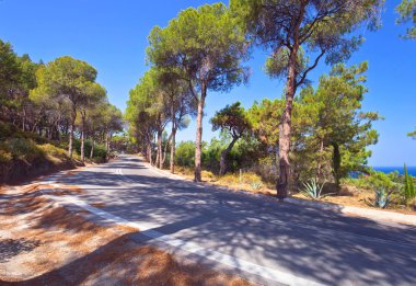 Yolda dağ, Rhodes, Yunanistan . 