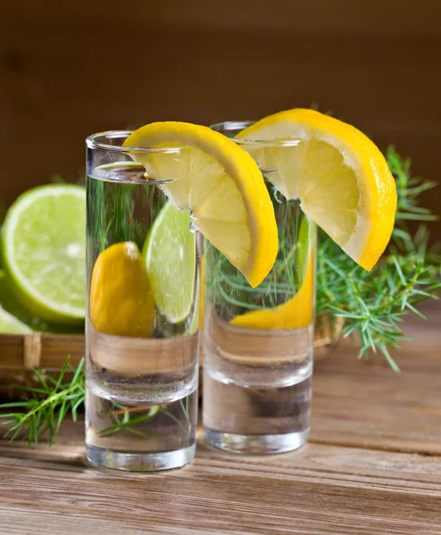 Gin mit Zitronen- und Wacholderzweigen. — Stockfoto