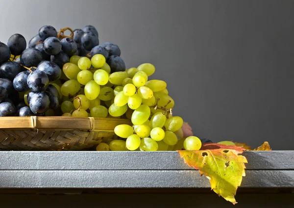 Синий и зеленый виноград  . — стоковое фото