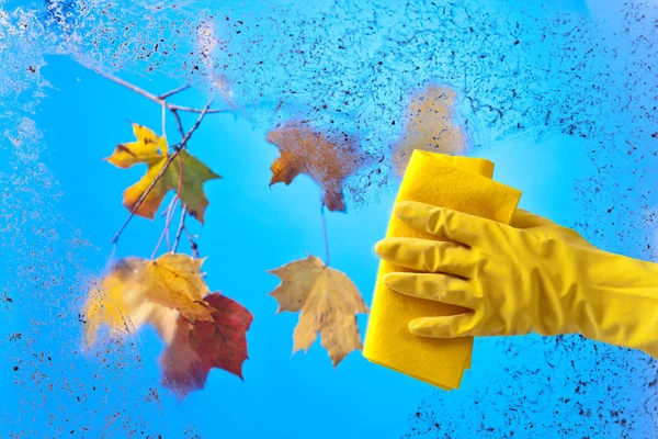 Hand in rubber glove cleaning window . — Stock Photo, Image