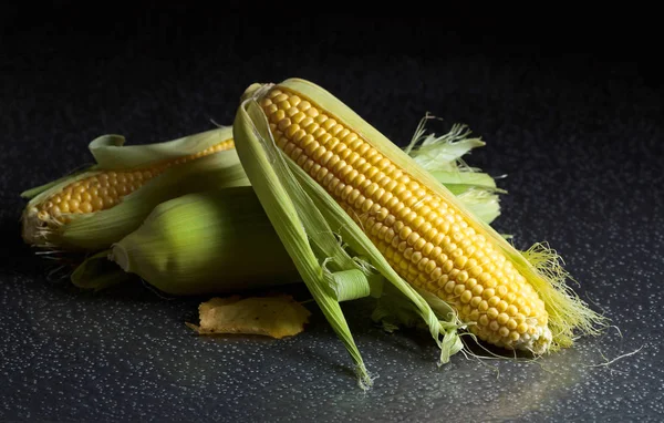 Taze tatlı mısır koçanı üzerinde .