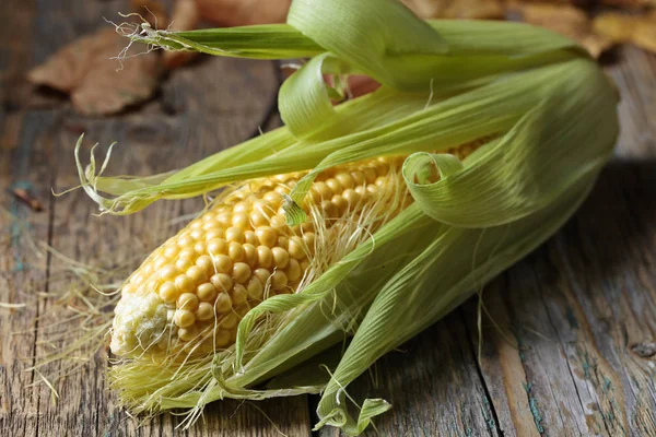 Taze tatlı mısır koçanı üzerinde .