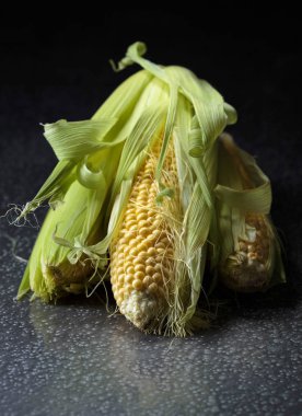 Taze tatlı mısır koçanı üzerinde .