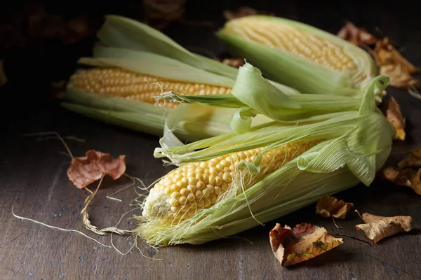 Friss csemege kukorica csövek . — Stock Fotó