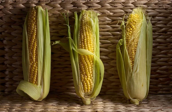 Fresh sweet corn on cobs . — Stock Photo, Image