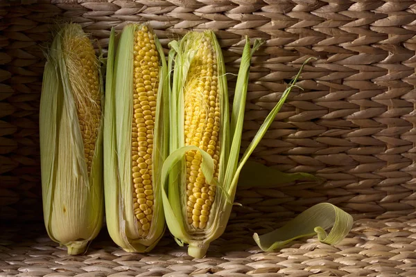 Fresh sweet corn on cobs . — Stock Photo, Image