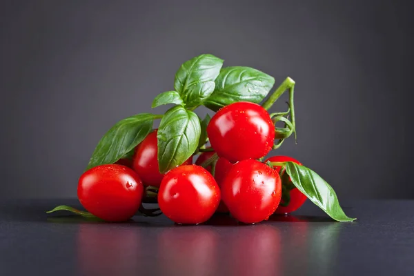 Cereza de tomate con albahaca verde  . — Foto de Stock