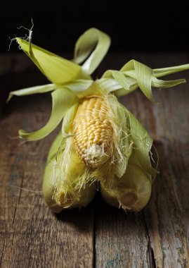 Taze tatlı mısır koçanı üzerinde .