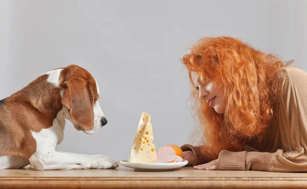 Ragazza con grazioso beagle — Foto Stock
