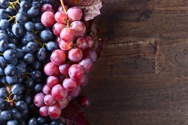 Üzüm yaprakları ile demet.