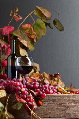 Kırmızı şarap ve üzüm. .