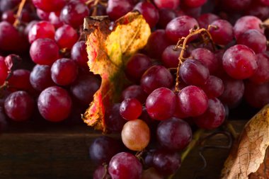 Üzüm üzüm yaprakları ile.