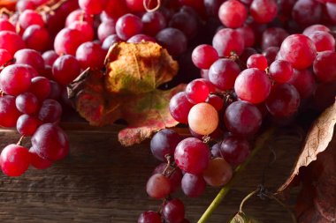 Üzüm üzüm yaprakları ile.