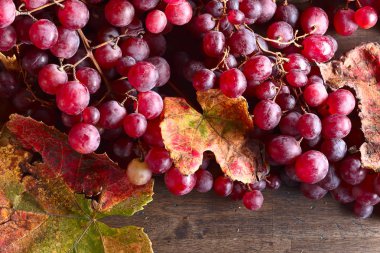 Üzüm üzüm yaprakları ile.