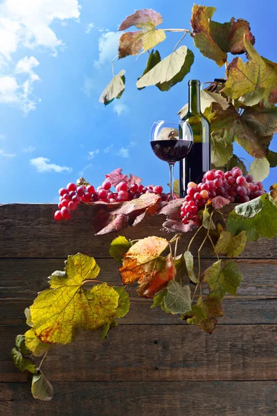 Rotwein und Trauben. — Stockfoto