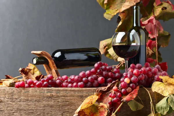 Rotwein und Trauben . — Stockfoto