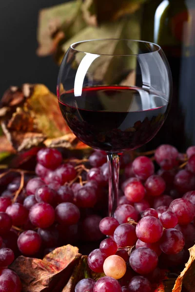 Vinho tinto e uva . — Fotografia de Stock