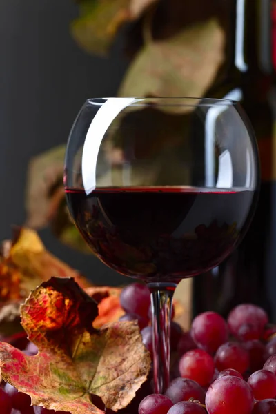 Kırmızı şarap ve üzüm. . — Stok fotoğraf