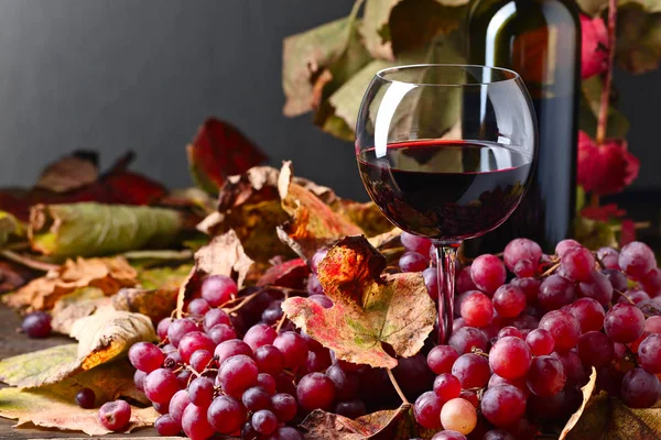 Red wine and grape . — Stock Photo, Image