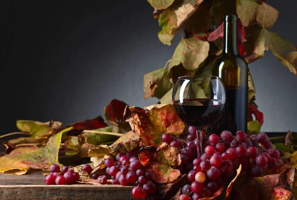 Rött vin och druva . — Stockfoto