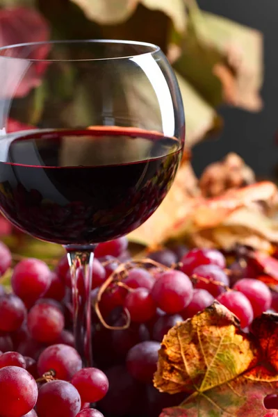 Red wine and grape . — Stock Photo, Image