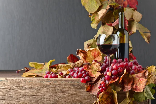 Vino tinto y uva . — Foto de Stock