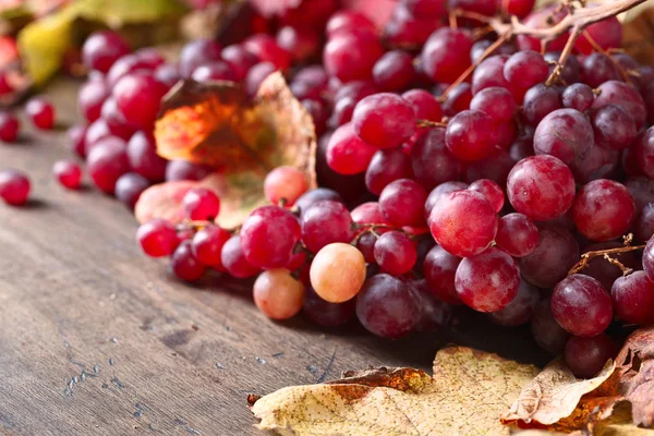 Uvas con hojas de uva . —  Fotos de Stock